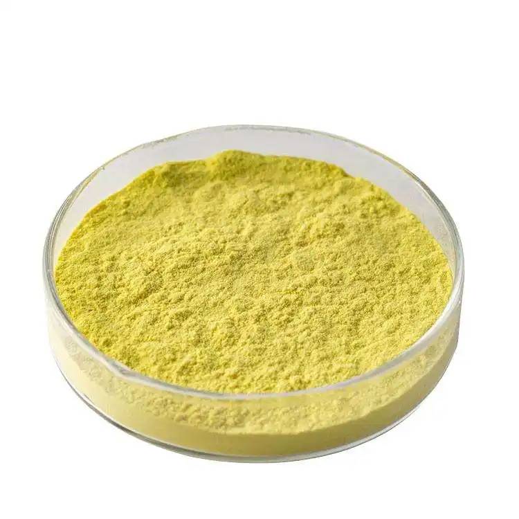 Quercetin Dihydrate Powder 