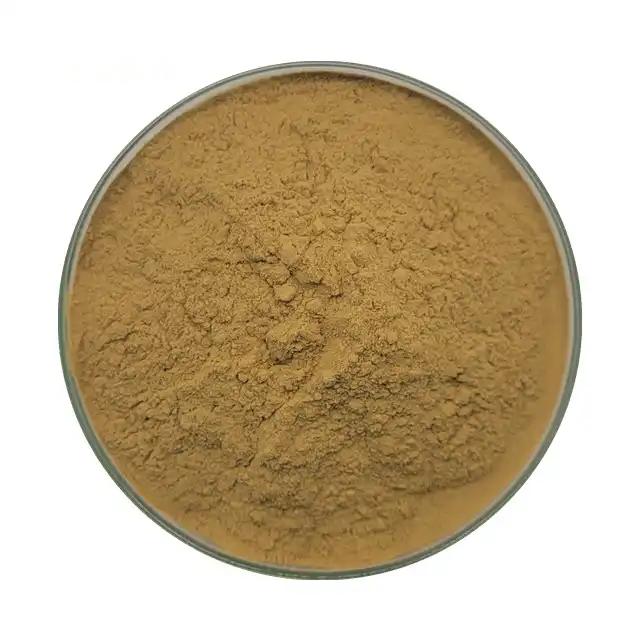 Gotu Kola Extract Total Triterpenes