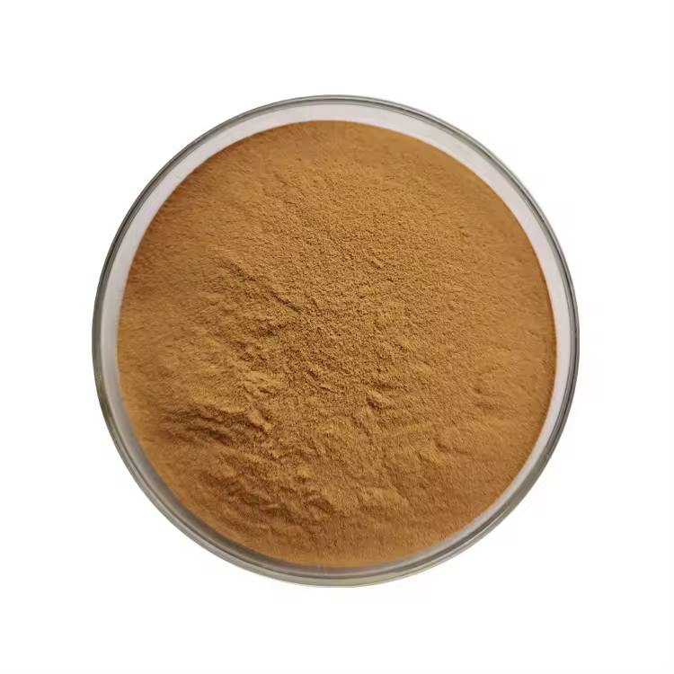 Ginkgo Biloba 24 6 Extract Powder