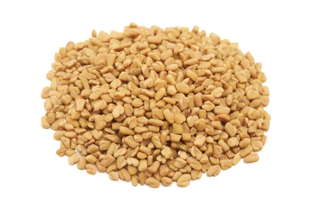 Fenugreek Seed