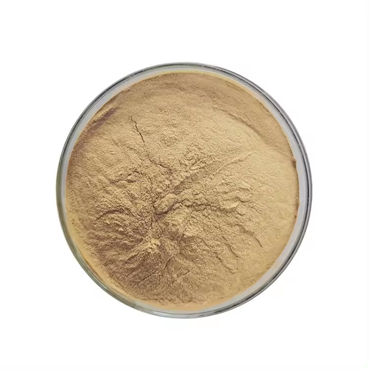 Chamomile Extract Powder