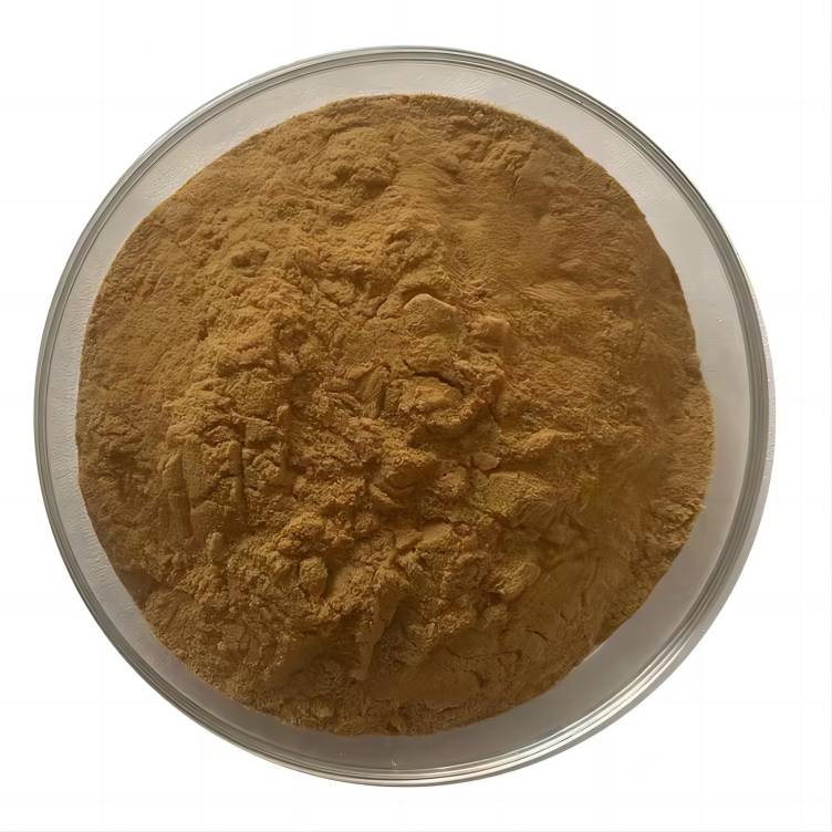 Ganoderma Lucidum Mushroom Extract