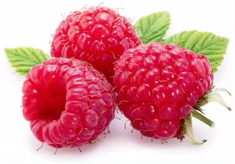 Raspberry Fruit