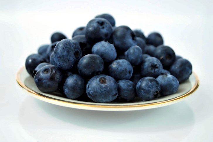 Blueberry Fruit 