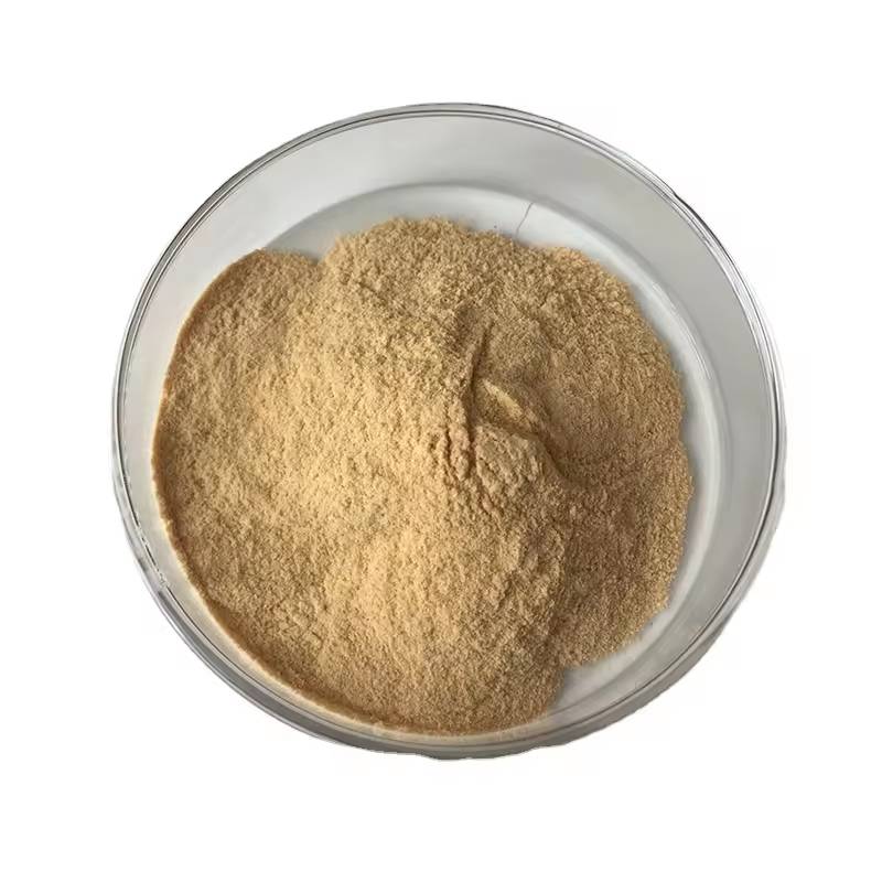 Monk Fruit Extract Powder