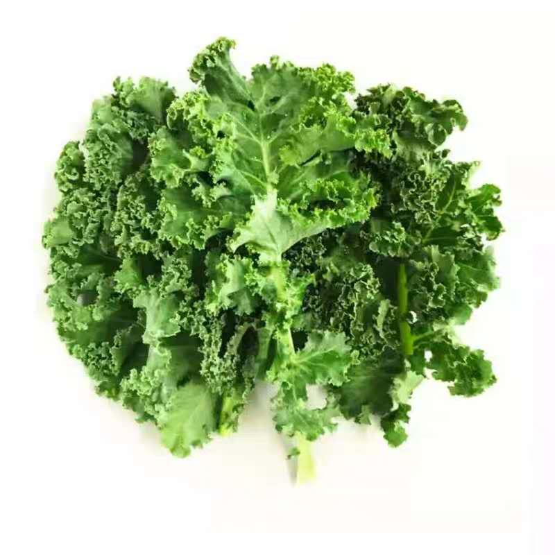 Kale Leaf