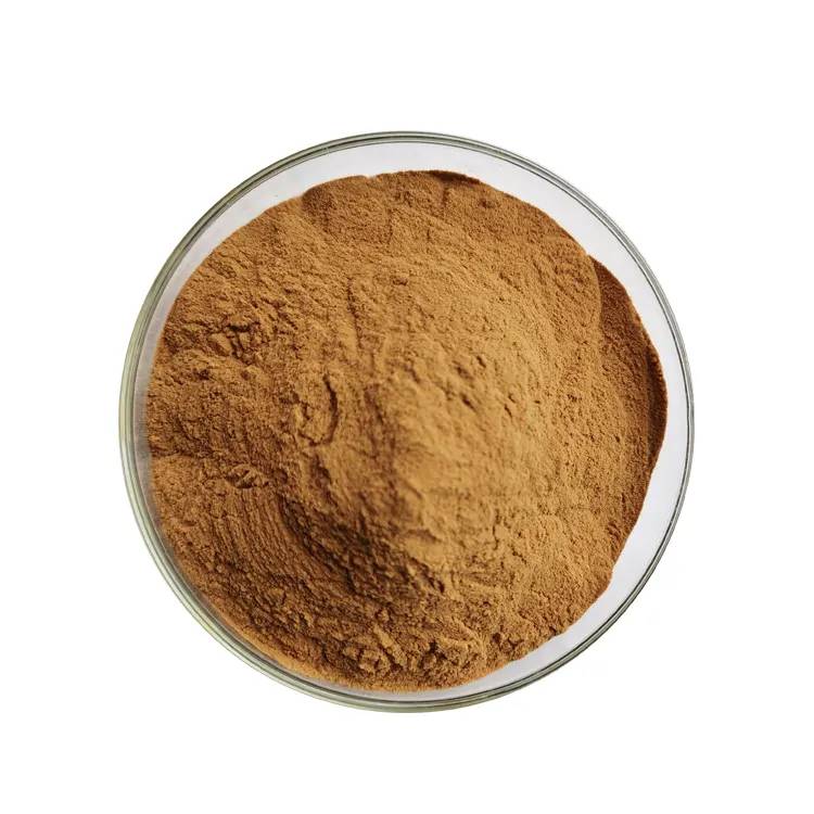 Cat's Claw Extract Powder